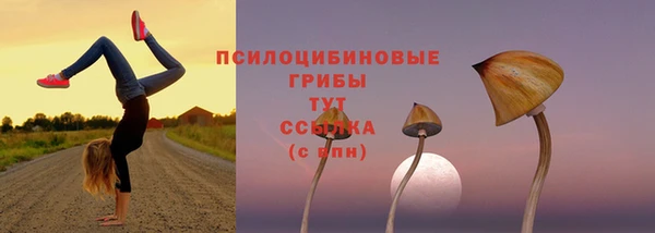 a pvp Балабаново