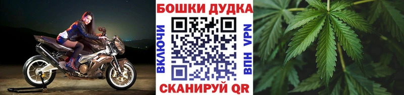Шишки марихуана марихуана Давлеканово